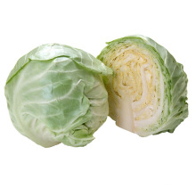 Wholesale fresh cabbage prices